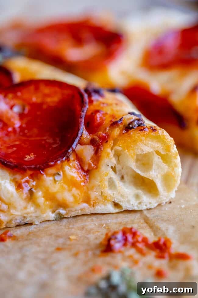 Foolproof Pizza Dough for Newbies 3 pizza dough recipe used to make pizza crust.