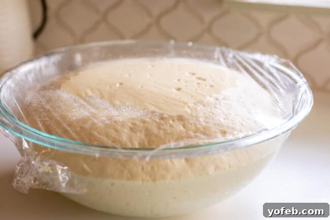 Foolproof Pizza Dough for Newbies 5 pizza dough rising in a glass bowl.