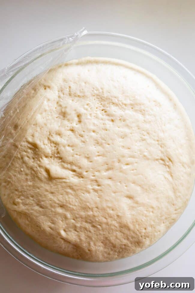 Foolproof Pizza Dough for Newbies 8 pizza dough in a bowl, risen.