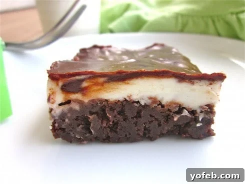 Mint Chocolate Brownies