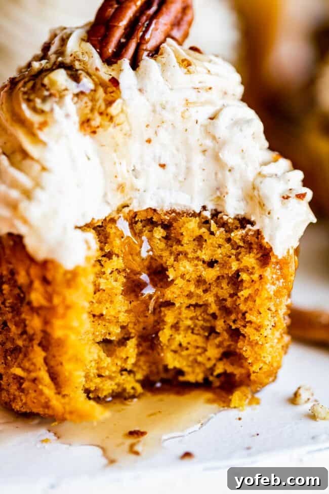 Maple Pecan Frosted Pumpkin Spice Cupcakes 3 Delicious pumpkin cupcake recipe featuring a fluffy texture and rich autumnal spices.