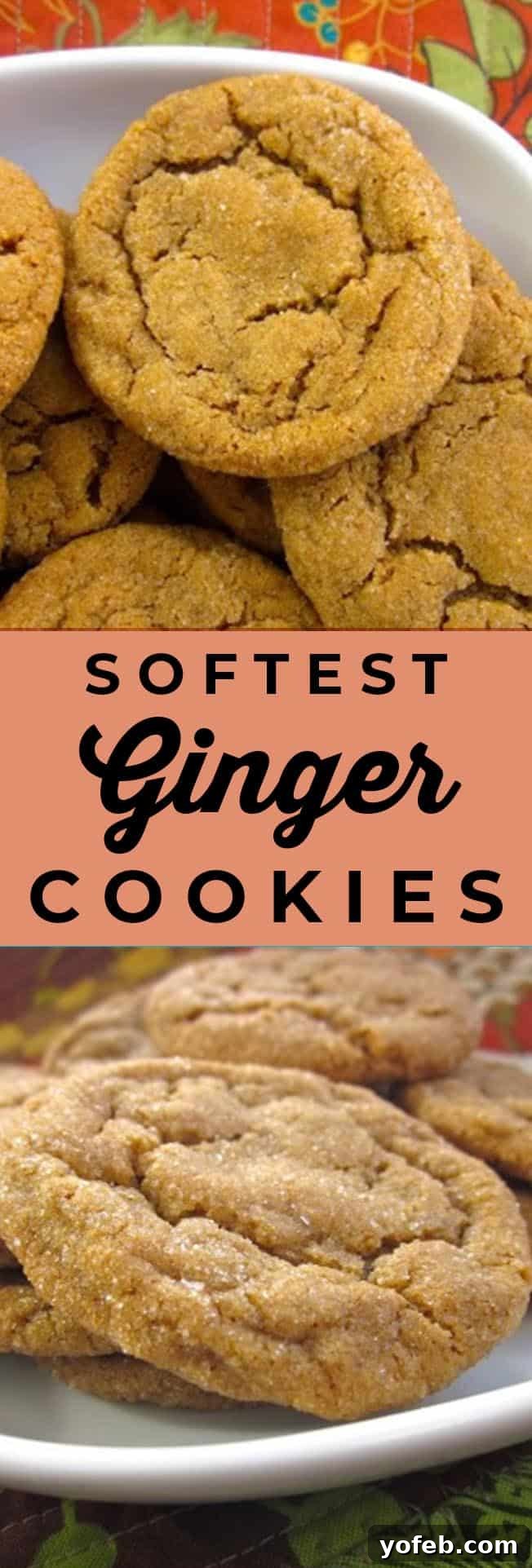 Super Soft Ginger Cookies from The Food Charlatan A close-up of a single soft ginger cookie with a sparkling sugar coating, ready to be enjoyed