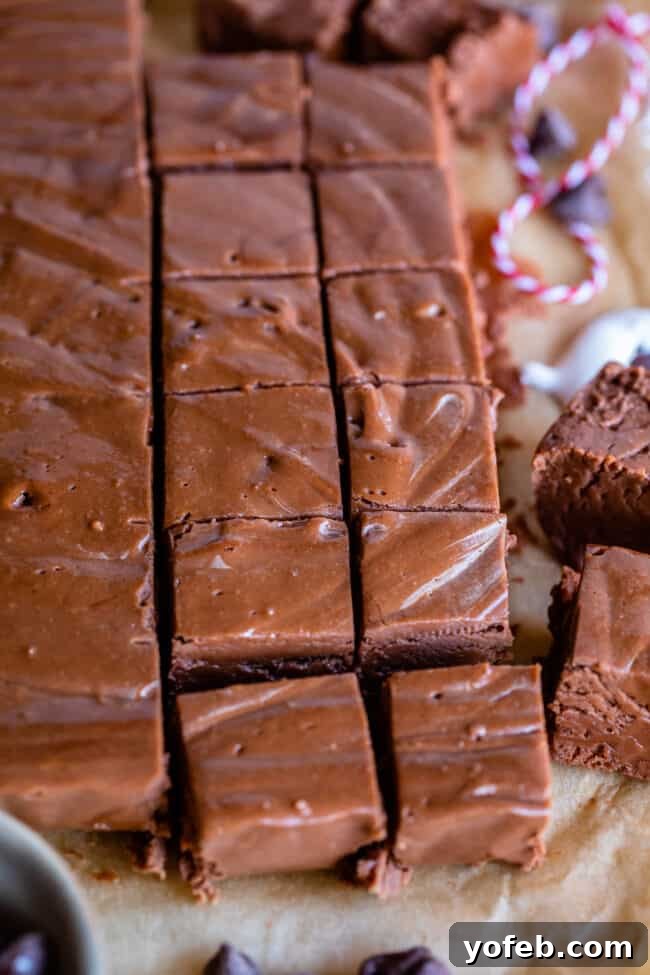 Mom's Effortless Fudge 34 A generous batch of marshmallow cream fudge, expertly cut into numerous squares, showcasing its perfect consistency and readiness for sharing.