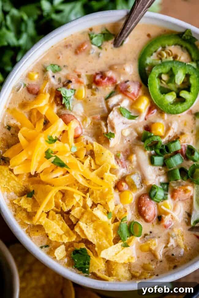 Effortless Creamy White Chicken Chili 19 White bean chicken chili garnished with cheese and a tortilla chip, inviting to eat.