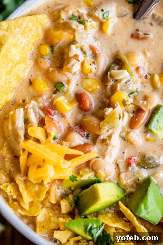 Effortless Creamy White Chicken Chili 21 Chicken and white bean chili garnished with avocados and cheese, a perfect combination.