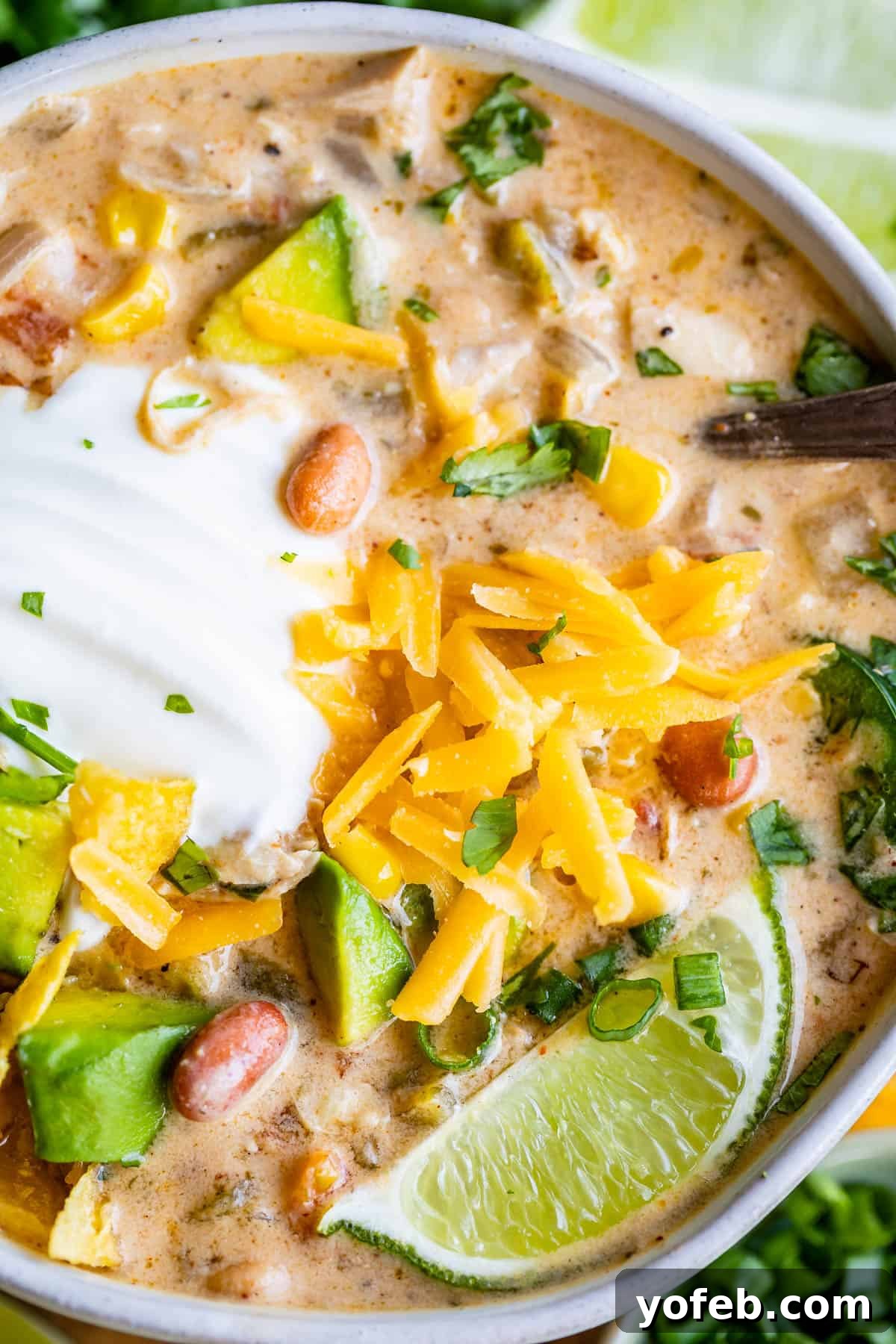 Effortless Creamy White Chicken Chili 23 white bean chicken chili in a white bowl with lime and cheese garnish