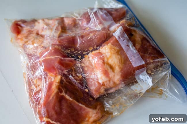 Slow Cooker Pork Ramen Deep Flavor Zero Fuss 9 pork shoulder in a ziplock bag with marinade