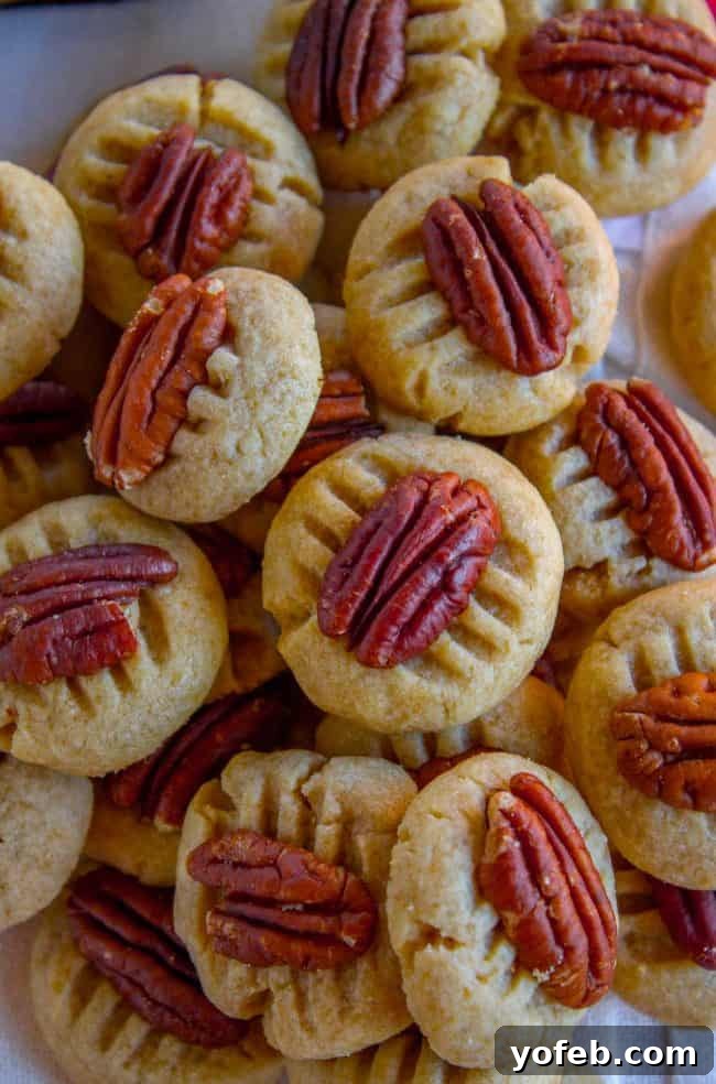 A pristine butter pecan cookie, showcasing its golden hue and the perfectly placed pecan half.