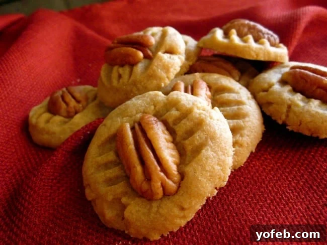 A rustic photo of butter pecan cookies arranged on a vibrant red tablecloth.
