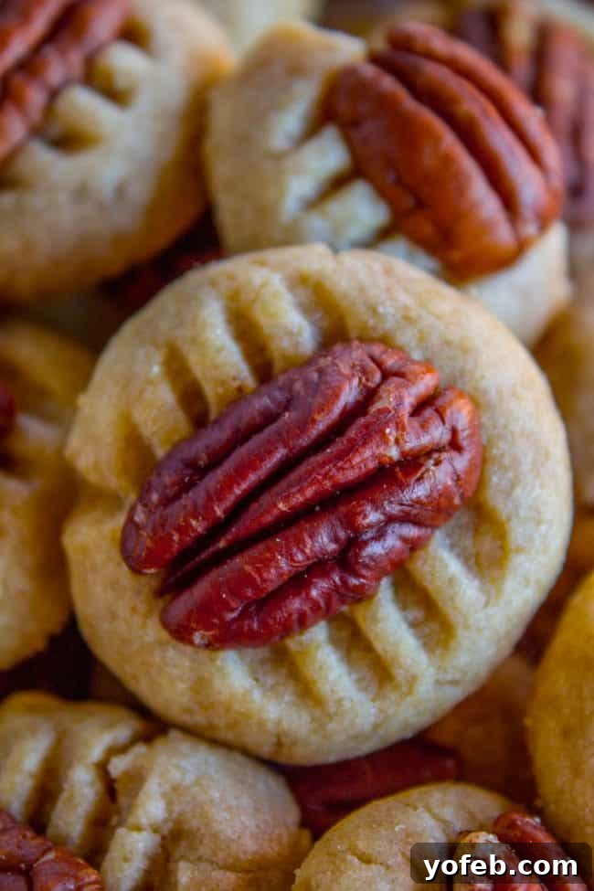 A close-up of butter cookies with pecans pressed into their tops, showcasing a golden, perfectly baked appearance.