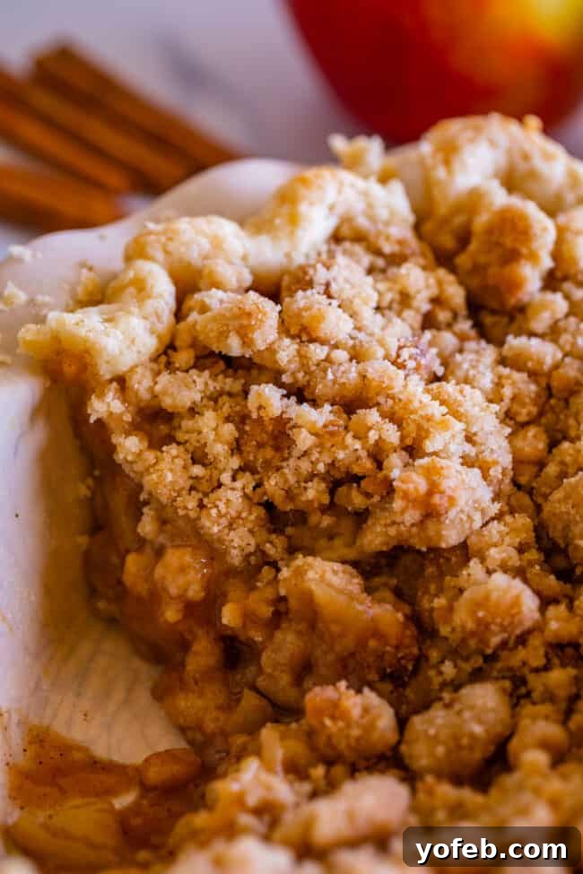The Ultimate Dutch Apple Pie 12 A delectable slice of the best Dutch apple pie still nestled in its pan, revealing a rich filling and generous streusel topping.