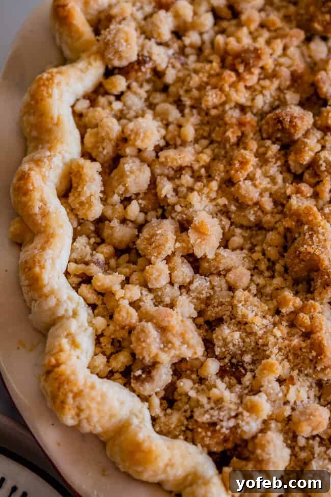 The Ultimate Dutch Apple Pie 30 A close-up, overhead shot revealing the exquisite detail of the golden streusel topping on a baked apple crumble pie.