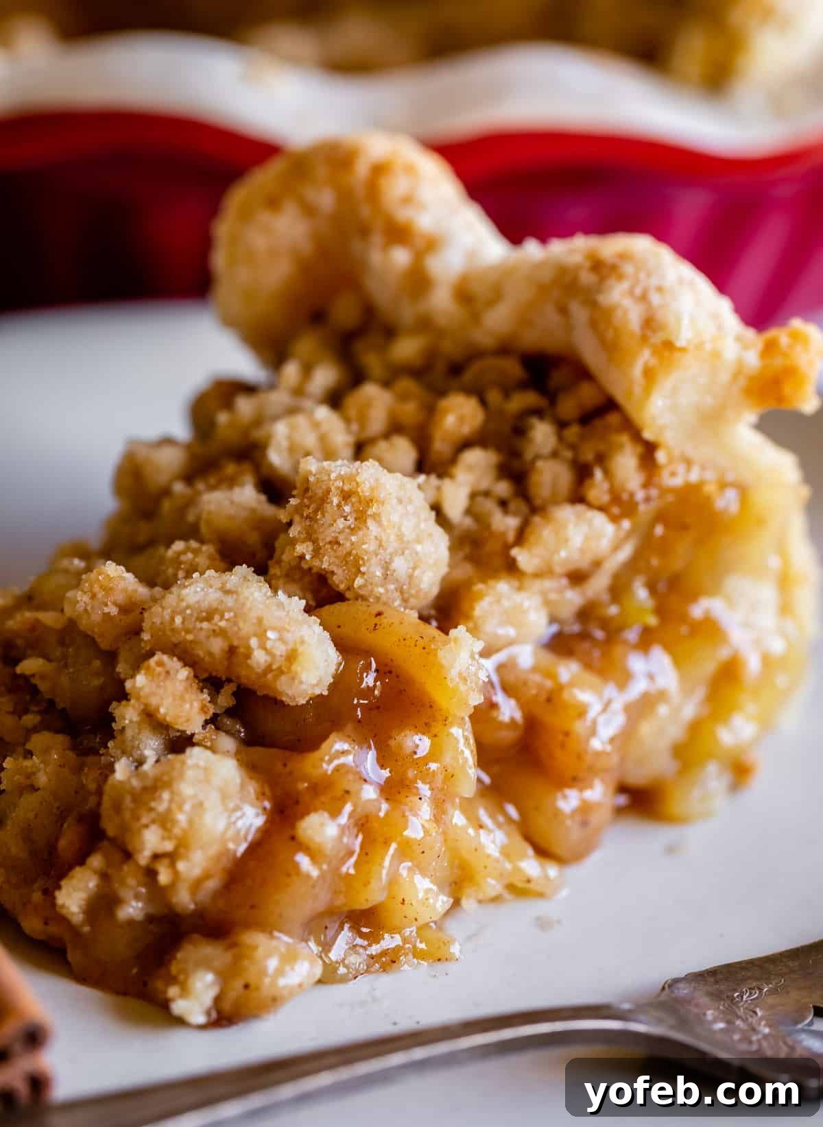 The Ultimate Dutch Apple Pie 32 Dutch apple pie recipe on a plate