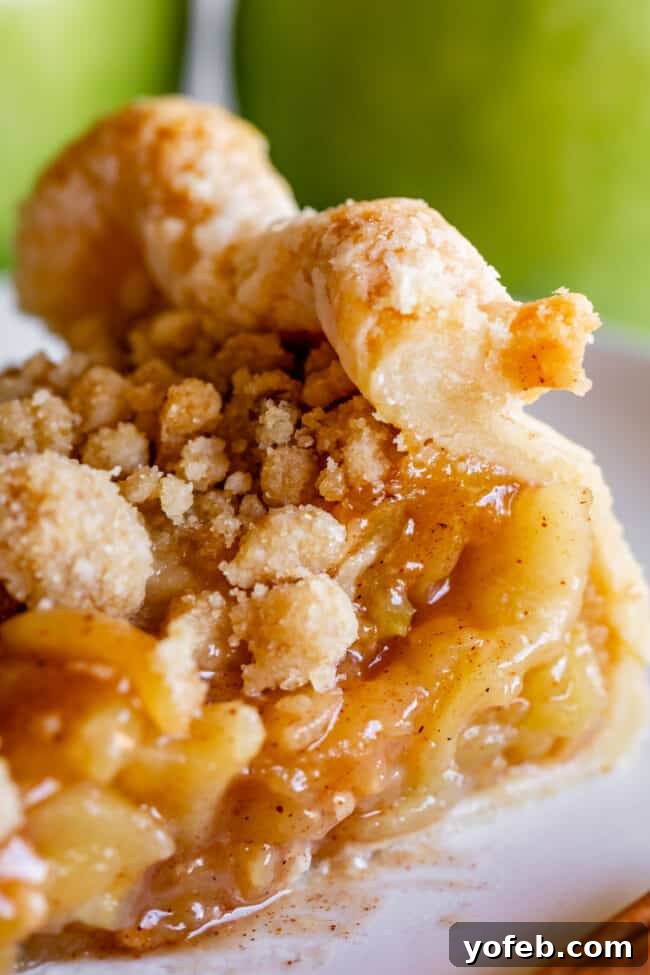The Ultimate Dutch Apple Pie 5 A delightful slice of crumble-top Dutch apple pie, perfectly golden and ready to be enjoyed, presented on a simple white plate.