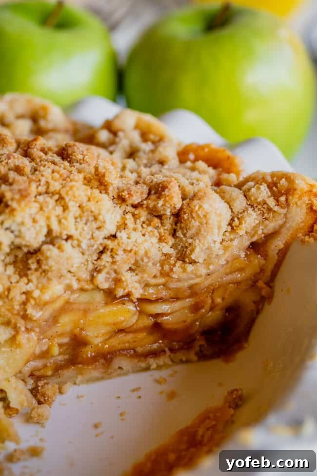 The Ultimate Dutch Apple Pie 6 A close-up side view of a Dutch apple pie in a white ceramic pie plate, highlighting the thick, buttery streusel topping and the golden-brown crust.