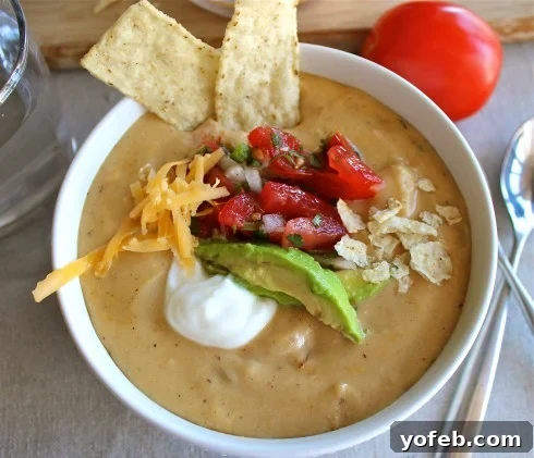 Creamy Chicken Enchilada Soup (Chili's Copycat Recipe) from The Food Charlatan. This dreamy Creamy Chicken Enchilada Soup tastes like the kind at Chili's, only better! It is a simple soup that has a unique flavor thanks to Masa Harina (corn flour). There are no veggies in the soup; instead you make Pico de Gallo and serve it as a generous topping! It's one of my all time favorite soups! #chicken #dinner #recipe #easy #enchilada #enchiladasoup #chickensoup #creamy #cheesy #stovetop #Chilis chicken enchilada soup in a white bowl.