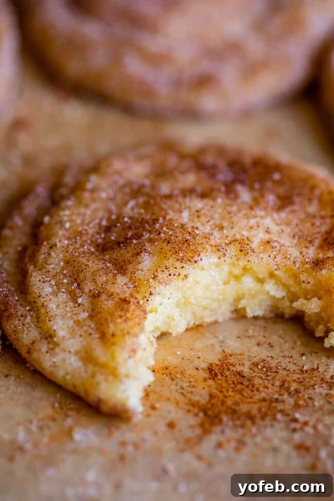 A perfectly baked, soft and chewy Snickerdoodle cookie with a bite taken out, showcasing its tender interior and rich cinnamon sugar coating.