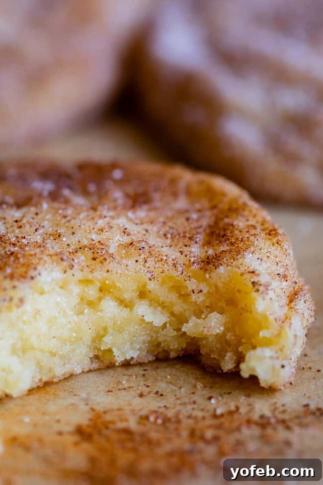 A soft Snickerdoodle cookie with a bite taken out, showing its fluffy, golden interior and ample cinnamon sugar coating.