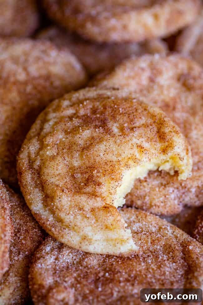 A stack of delicious Snickerdoodle cookies, with one cookie on top showing a bite taken out, highlighting its soft, inviting texture.