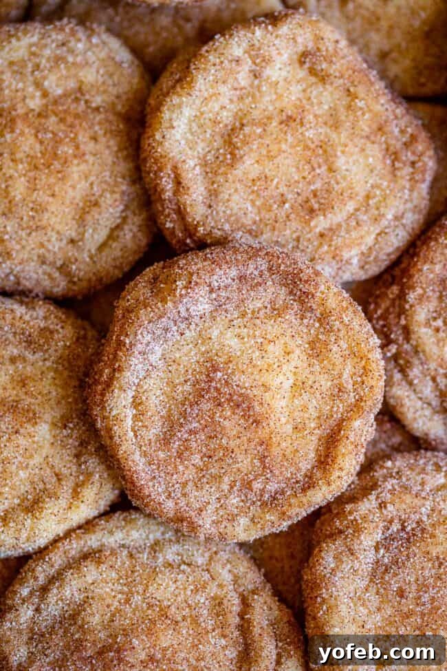 Beautifully baked Snickerdoodle cookies layered artfully on a baking sheet, ready for serving or storage.