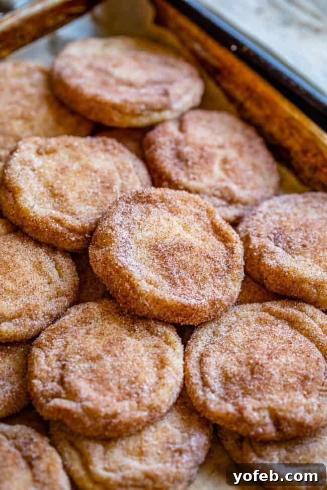 A batch of golden-brown Snickerdoodle cookies evenly spaced on a baking sheet, glistening with cinnamon sugar.