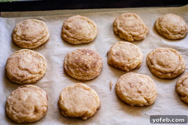 A pan of shaped Snickerdoodle cookies, featuring improved texture and height thanks to the spoon trick, with a generous cinnamon coating.