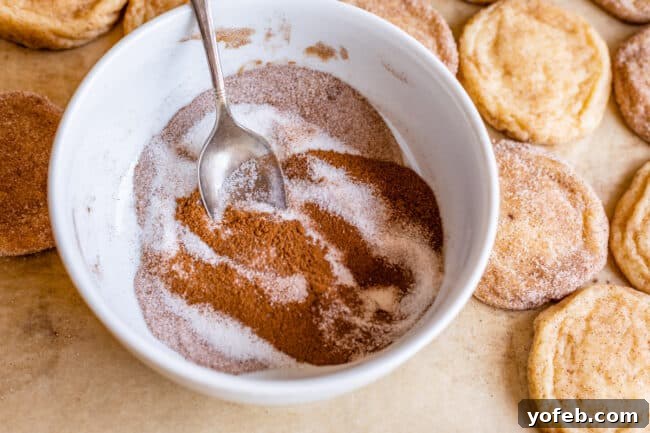 A beautiful swirl of cinnamon and sugar mixed together in a white bowl, ready for coating cookies.