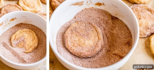 A freshly baked cookie being dipped into a bowl of cinnamon sugar, adding an extra layer of flavor and texture.