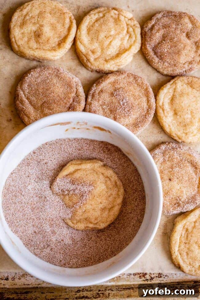 A Snickerdoodle cookie nestled in a bowl of cinnamon sugar, with more delicious cookies visible on a baking pan in the background.