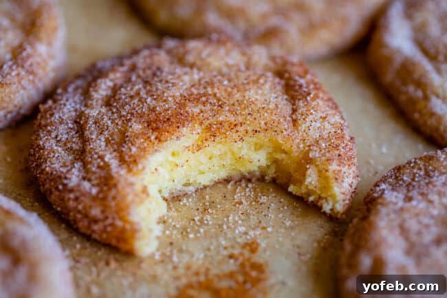 A close-up of a Snickerdoodle cookie with a bite taken out, highlighting its soft texture and generous cinnamon sugar coating.
