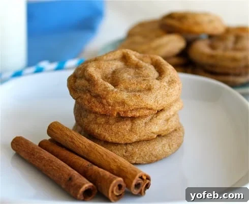 Snickerdoodles on a plate with cinnamon sticks, a vintage photo of the cookies.
