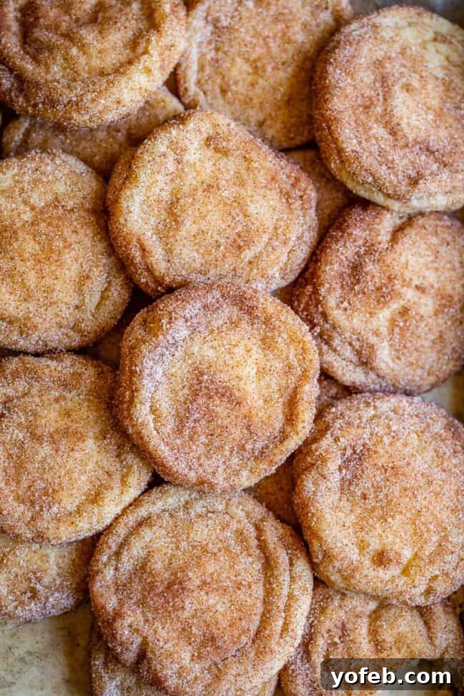 Freshly baked Snickerdoodle cookies spread out evenly on a baking sheet, showcasing their golden edges and cinnamon sugar coating.