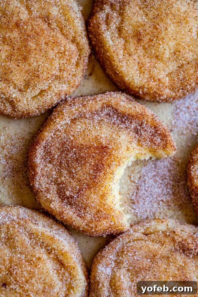An overhead shot of a Snickerdoodle cookie with a bite taken out, emphasizing its soft texture and generous cinnamon sugar.