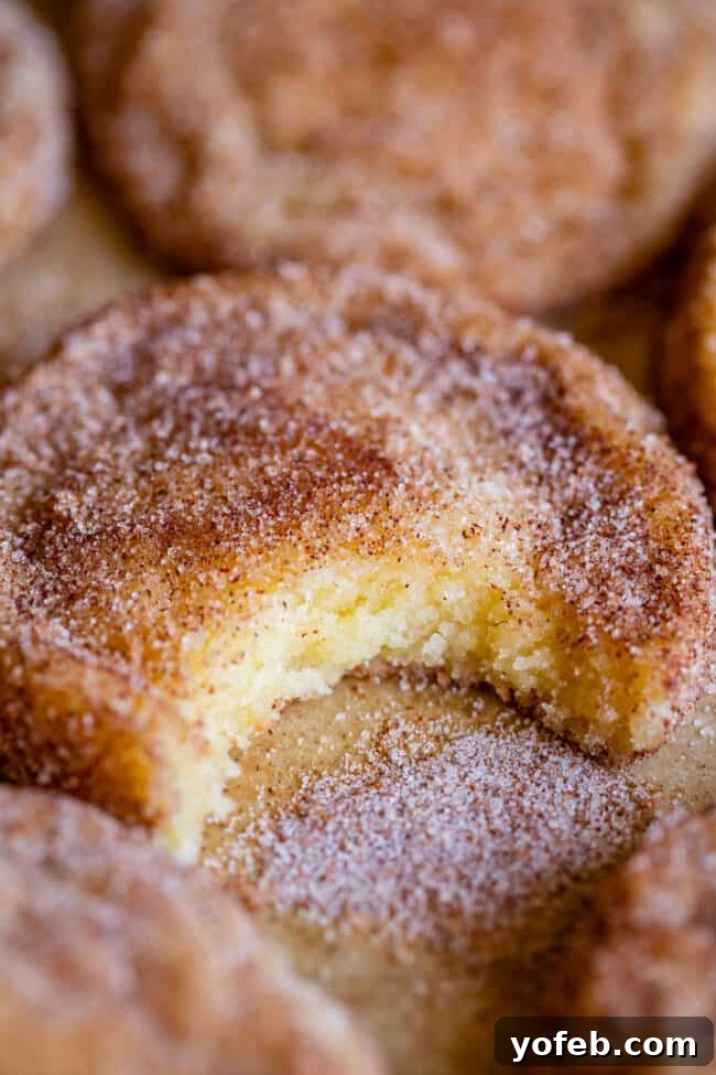 A close-up of a Snickerdoodle cookie generously coated in cinnamon sugar, with a portion bitten off to reveal its delightful texture.
