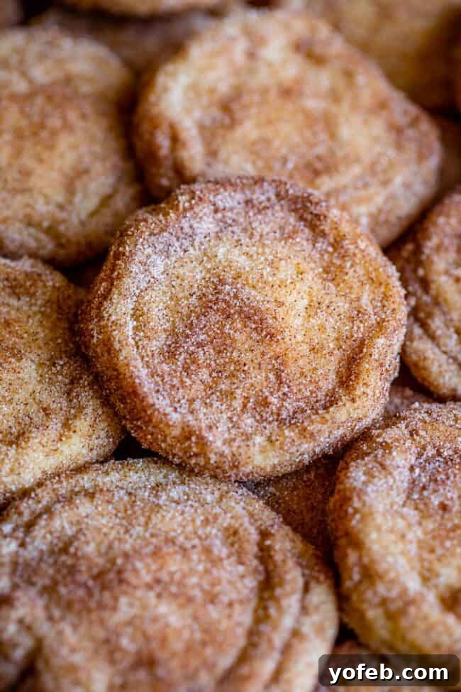 A delightful stack of soft and chewy Snickerdoodles, perfectly baked and ready to be served, on a baking sheet.