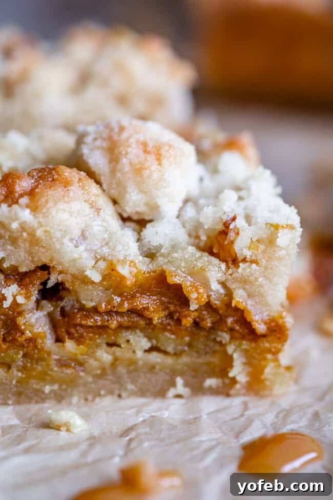 Buttery Pumpkin Spice Bars 5 A single pumpkin shortbread bar with streusel topping, featuring a visible thick crust, sits elegantly on parchment paper, ready to be enjoyed.