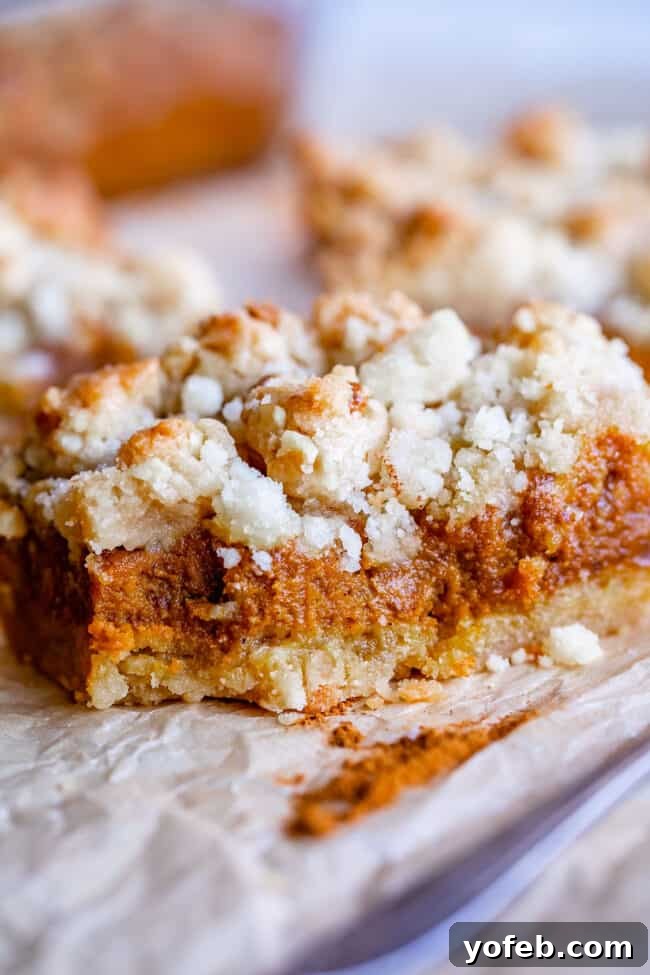 Buttery Pumpkin Spice Bars 8 A plate holding a pumpkin pie bar dusted with cinnamon, showcasing its vibrant orange filling and golden streusel, ready to be devoured as a comforting autumn treat.