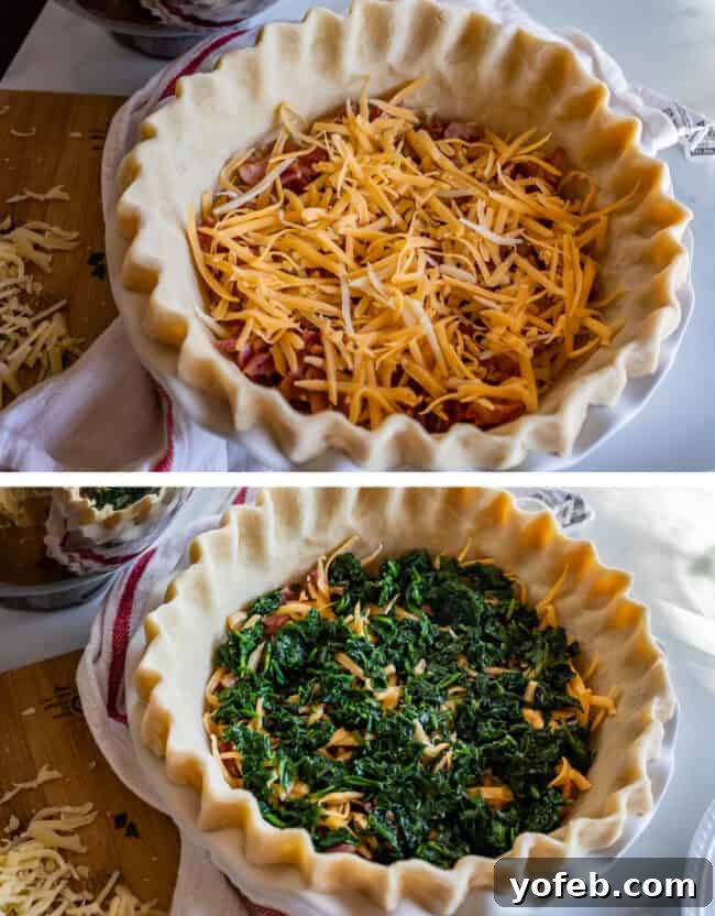 Effortless Bacon and Spinach Quiche 17 Two images showing quiche assembly. On the left, an unbaked quiche features a layer of cheese. On the right, that layer is generously topped with cooked spinach, ready for the next step.