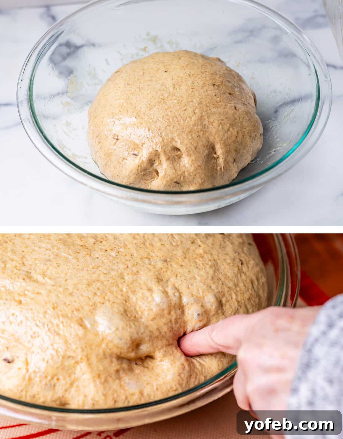 Grandma Prudy's Heirloom Rye Loaf 21 Punched down dough ball returned to the glass bowl after the second rise, with a finger indentation test.