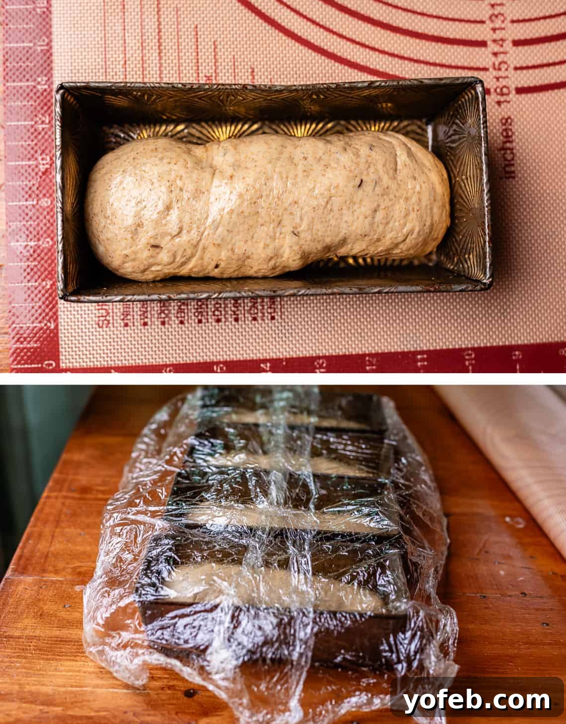 Grandma Prudy's Heirloom Rye Loaf 26 Unrisen bread in a pan, and four pans with loaves covered in plastic wrap for the final rise.
