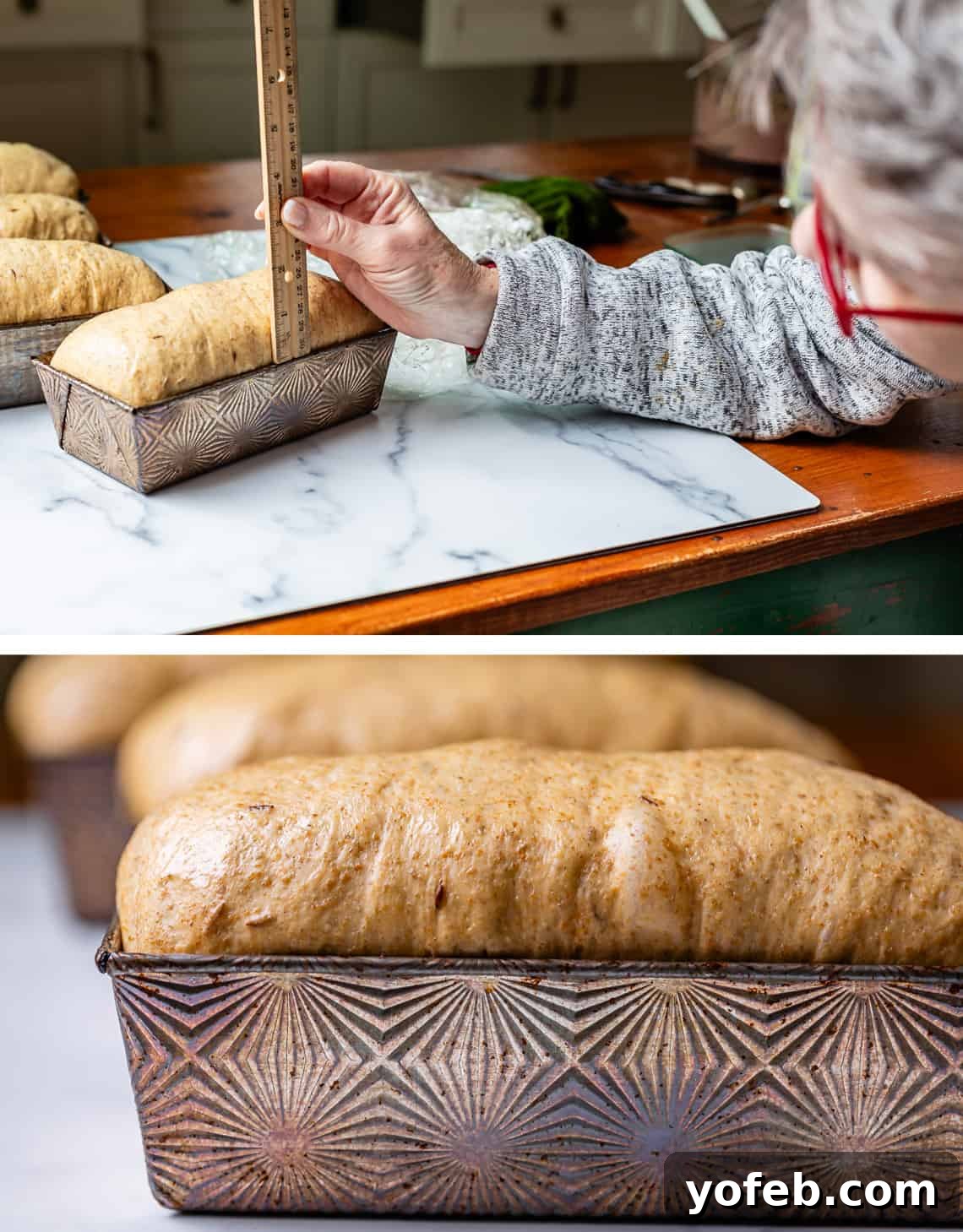 Grandma Prudy's Heirloom Rye Loaf 27 Measuring risen dough to confirm it's an inch over the pan, with a side view of the perfectly proofed loaf.