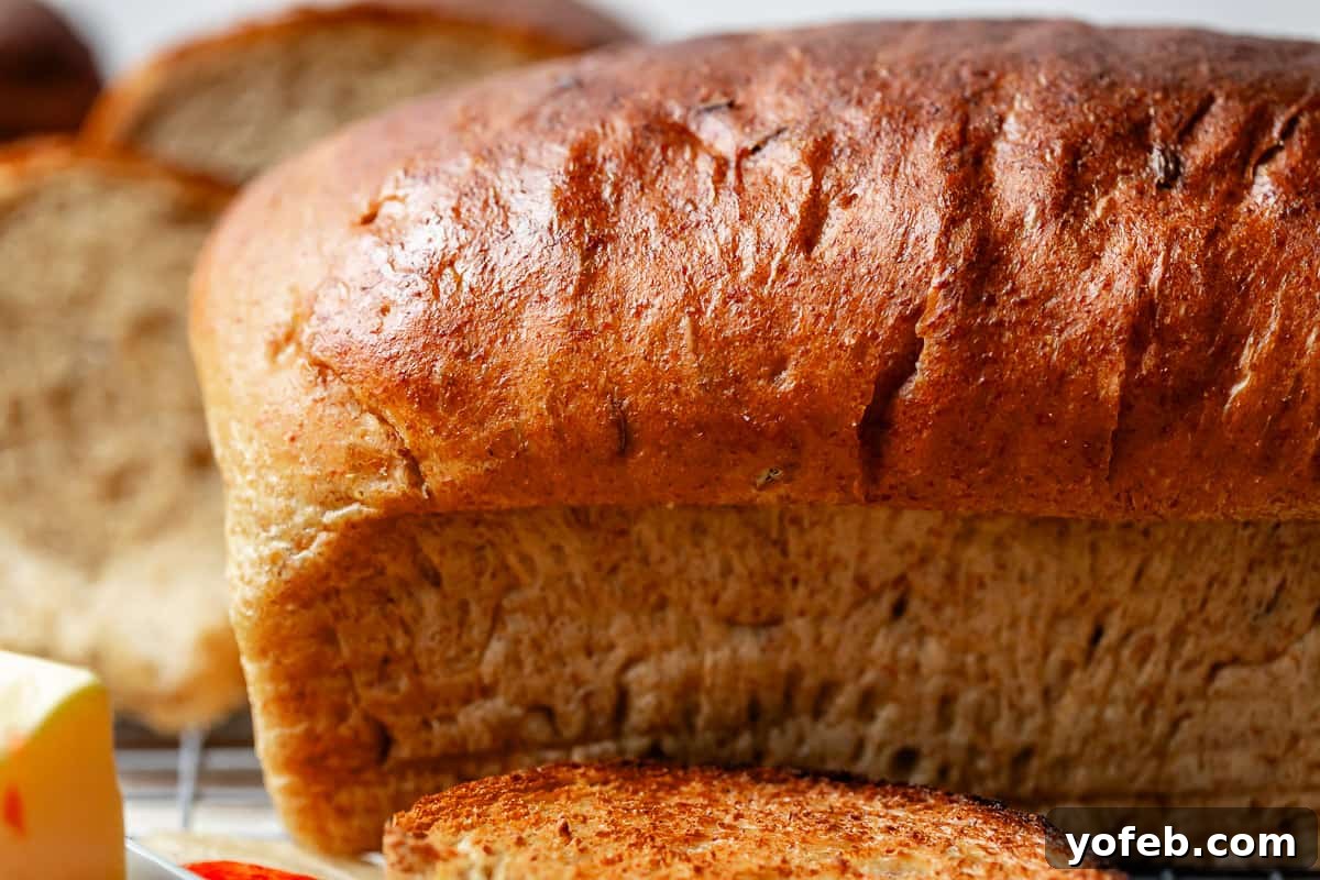Grandma Prudy's Heirloom Rye Loaf 10 A close-up side view of a perfectly baked rye bread loaf, highlighting its enticing texture.