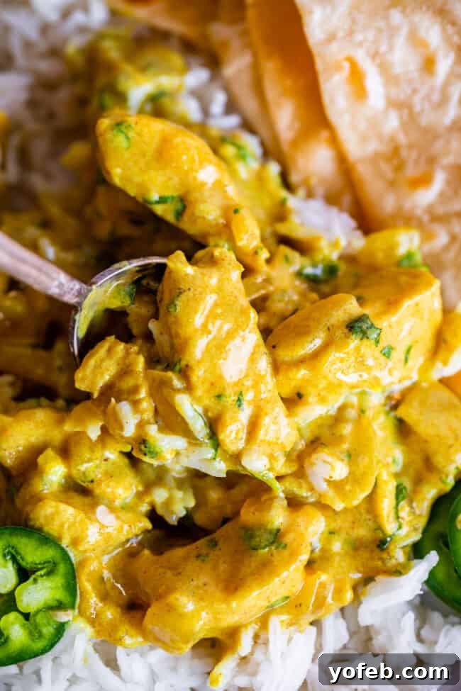 Flavorful Chicken Curry Made Easy 21 curry sauce recipe with chicken and cilantro and rice.