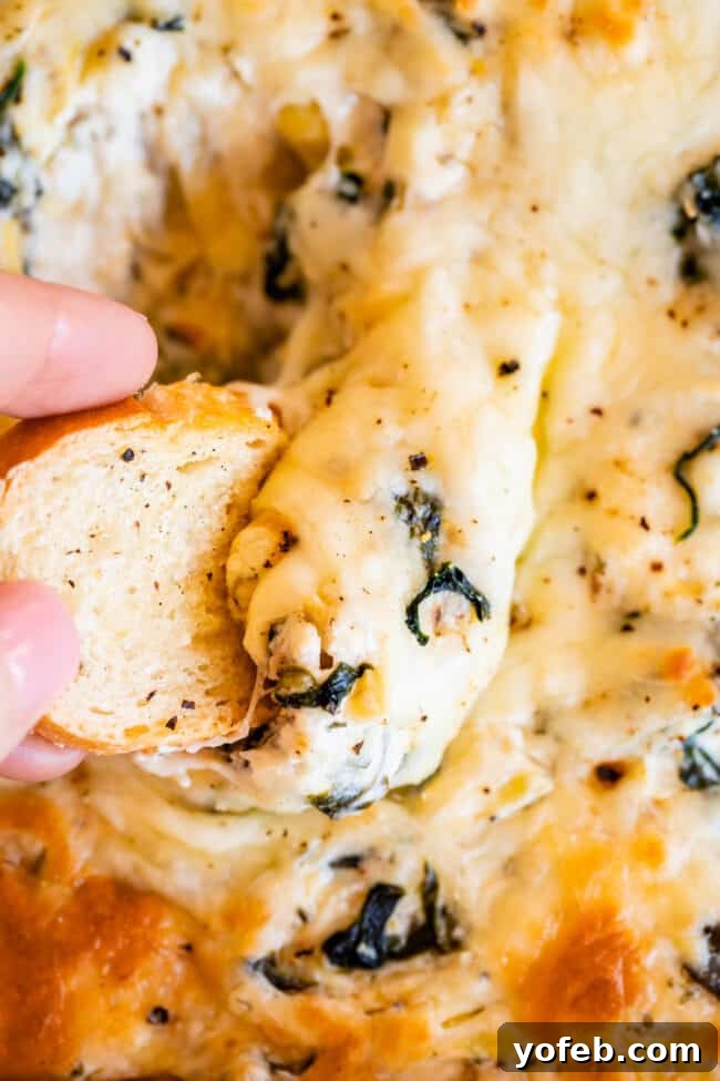 Ultimate Cheesy Spinach Artichoke Dip 2 Hand dipping toasted baguette slice into a pan of hot, extra cheesy spinach artichoke dip.
