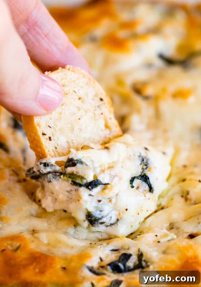 Ultimate Cheesy Spinach Artichoke Dip 8 Hand dipping a golden toasted baguette into a rich, hot spinach artichoke dip, highlighting its cheesy texture.