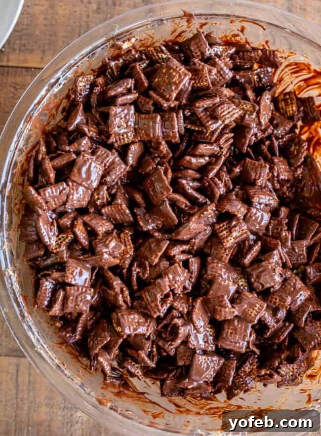 Loaded Chunky Chex Muddy Buddies 15 A bowl of Chex cereal completely coated in the rich chocolate, peanut butter, and butter mixture.