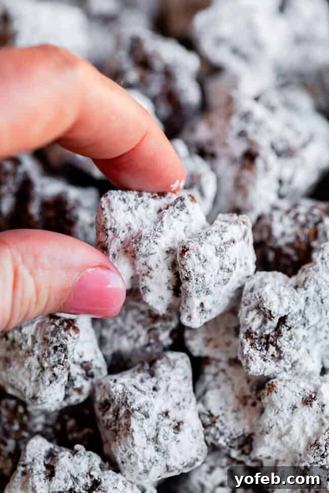 Loaded Chunky Chex Muddy Buddies 19 A hand picking up a large, chunky piece of Muddy Buddies, demonstrating the desired stuck-together texture.