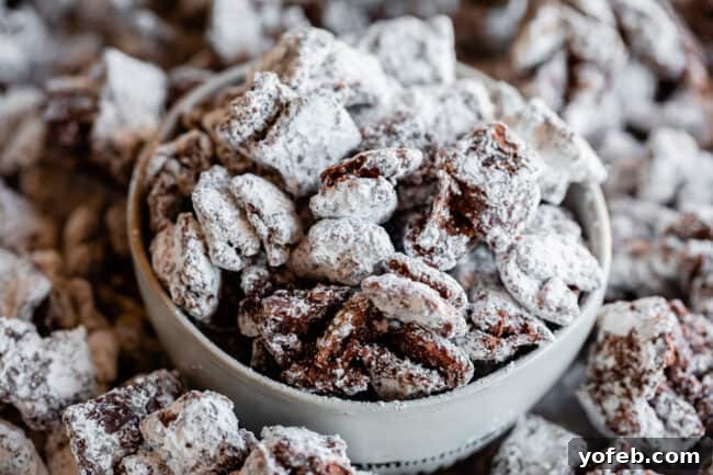 Loaded Chunky Chex Muddy Buddies 20 Reindeer Chow (Muddy Buddies) in a gray bowl, generously dusted with powdered sugar and forming appealing clumps.