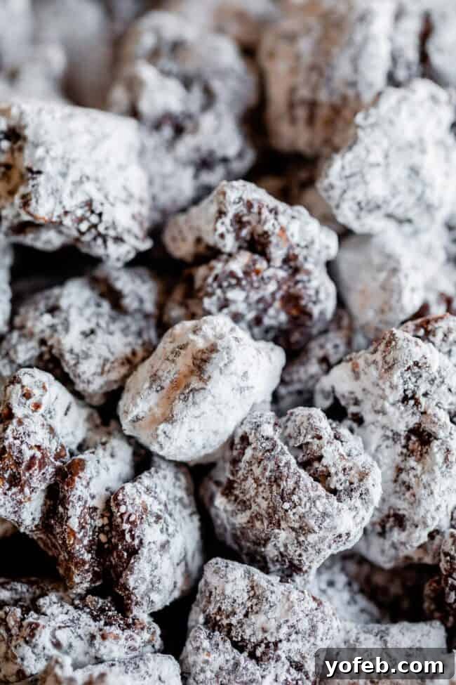 Loaded Chunky Chex Muddy Buddies 3 Close-up photo of several pieces of Muddy Buddies stuck together in delightful chunks.