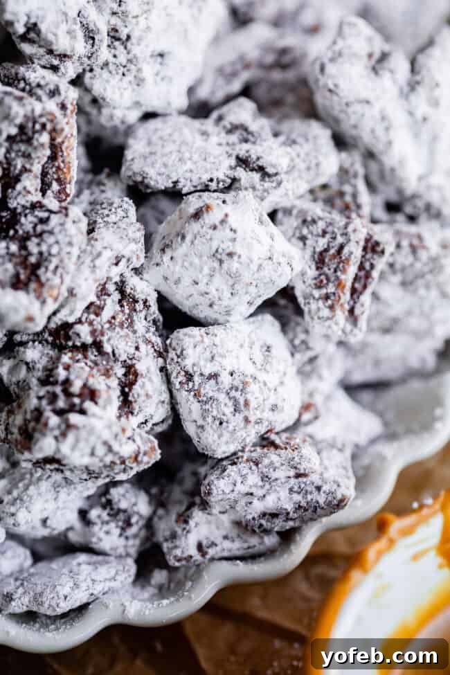 Loaded Chunky Chex Muddy Buddies 21 A plate featuring a serving of Puppy Chow (Muddy Buddies) coated in chocolate and powdered sugar, highlighting their delectable appearance.